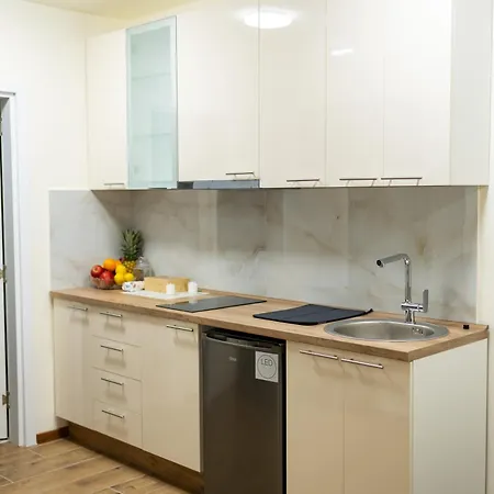 Apartment Snjezana Pancevo