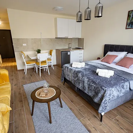 公寓 Snjezana Pančevo