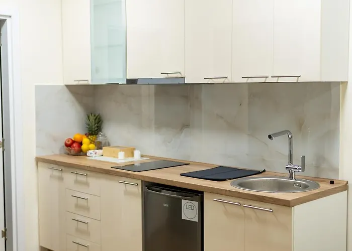 公寓 Snjezana Pančevo