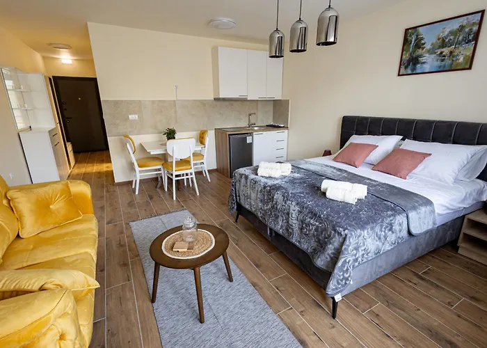 公寓 Snjezana Pančevo