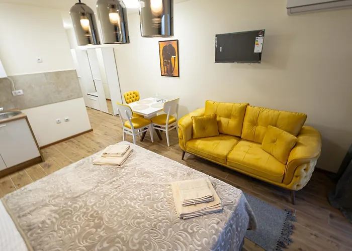 公寓 Snjezana Pančevo